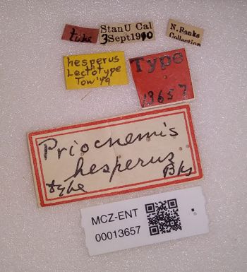Media type: image;   Entomology 13657 Aspect: labels